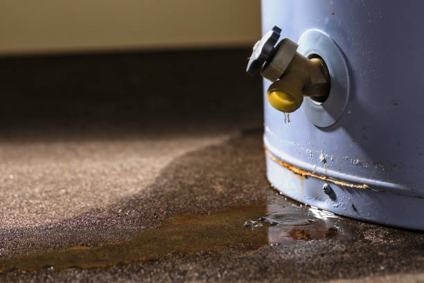 Best 24-hour water damage restoration  in East Rutherford, NJ