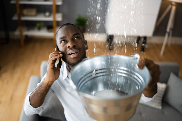 Best Water damage contractors near me  in East Rutherford, NJ