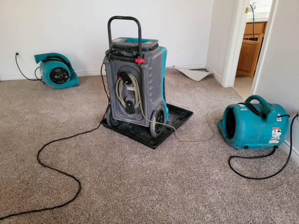 Best Ceiling water damage repair  in East Rutherford, NJ