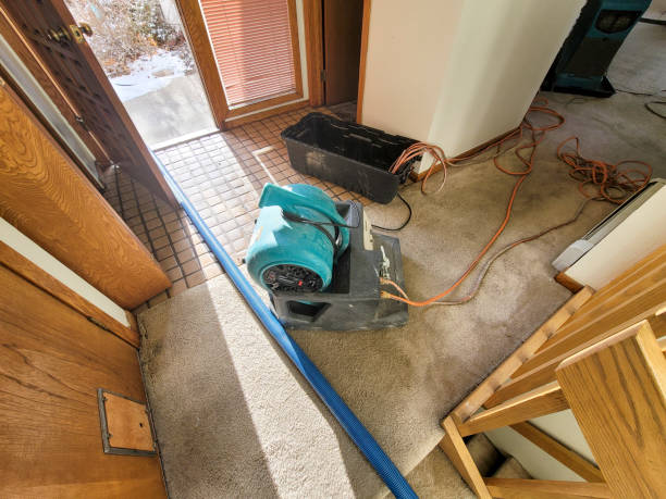 Best 24-hour water damage restoration  in East Rutherford, NJ