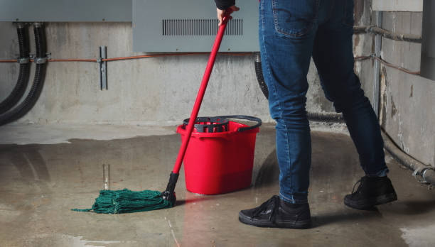 Best Basement water damage restoration  in East Rutherford, NJ