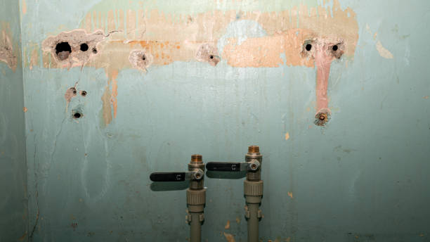 Best Mold removal after water damage  in East Rutherford, NJ