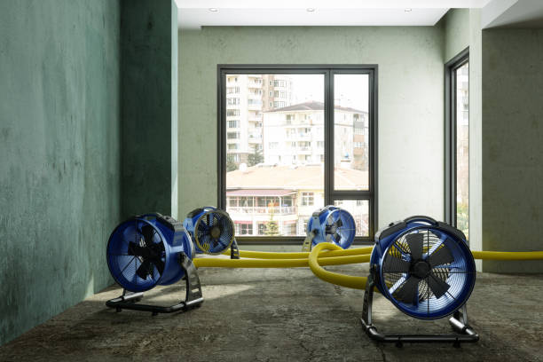 Best Carpet water damage restoration  in East Rutherford, NJ